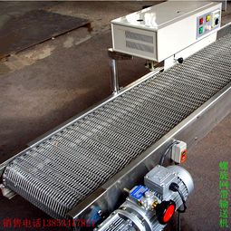 不銹鋼網(wǎng)帶輸送機報價 廠家